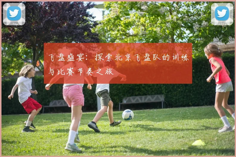 飞盘盛宴：探索北京飞盘队的训练与比赛节奏之旅