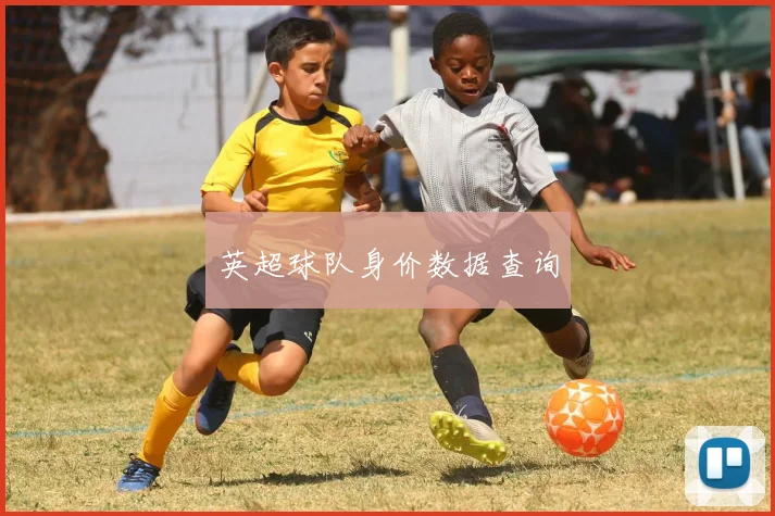 英超球队身价数据查询